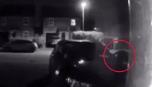 Homem registra suposta pantera negra com câmera de segurança de residência