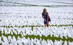 EUA homenageiam vítimas da covid com 600 mil bandeiras brancasVEJA MAIS