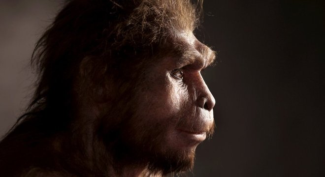 Reconstrução do Homo erectus, conhecido como o primeiro ser humano a andar totalmente ereto