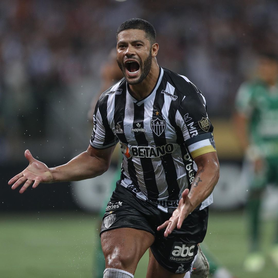 Jogadores entram em campo com cachorros de abrigo no colo; assista - Lance  - R7 Futebol