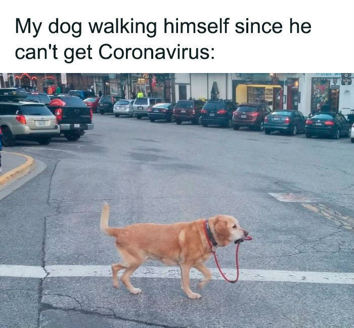Quarentena pelo coronavírus rende enxurrada de memes