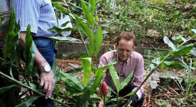 Hidrogel de gengibre criado por pesquisador brasileiro evita amputação em diabéticos