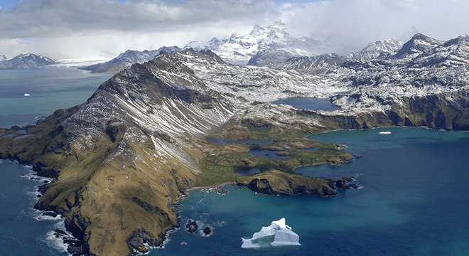 Bucktrout Icebergs encalham ao redor de Geórgia do Sul com frequência