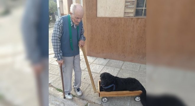 Imagem de idoso levando cão para passear em carrinho comoveu a Argentina