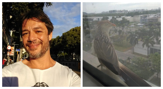 Igor Cotrim mostrou visita de pássaro na janela de casa