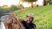 Crise: iguanas se reproduzem sem controle, causam acidentes e governo autoriza matança