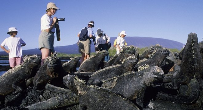Você pode querer ir a Galápagos para admirar a natureza e a vida selvagem - mas já pensou no impacto da sua visita?