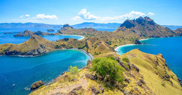 Governo fechará ilha onde turistas estão roubando dragões-de-komodo - Fotos - R7 Hora 7