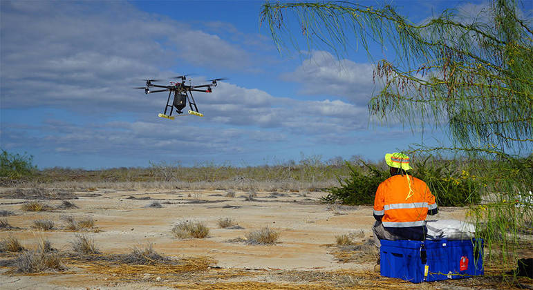 Os drones foram usados para matar ratos em Galápagos