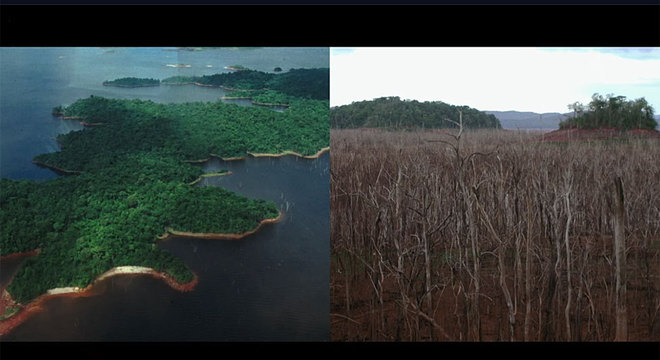 O que antes era uma bela floresta, alguns anos depois era pura devastação...