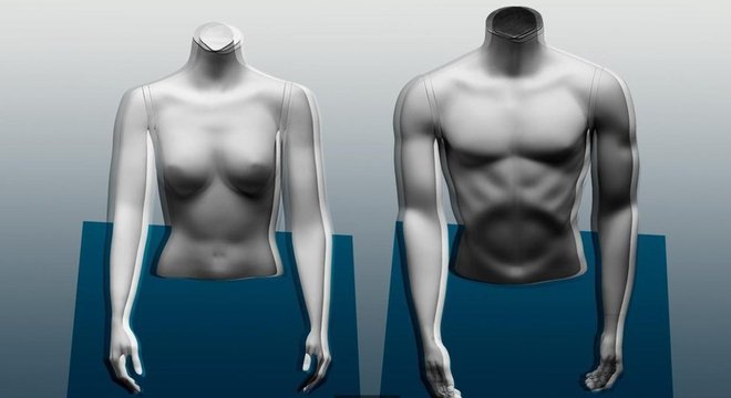 Os homens tendem a ter um percentual maior de massa muscular do que as mulheres por uma questão hormonal

