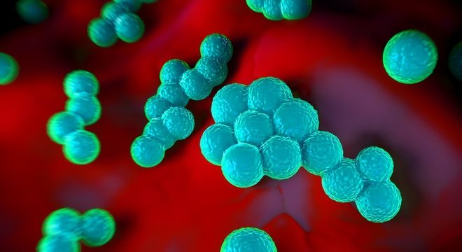 Segundo infectologista, a Staphylococcus aureus é relativamente comum, mas risco de morte é muito baixo - no entanto, pode ocorrer em pessoas com organismos mais frágeis