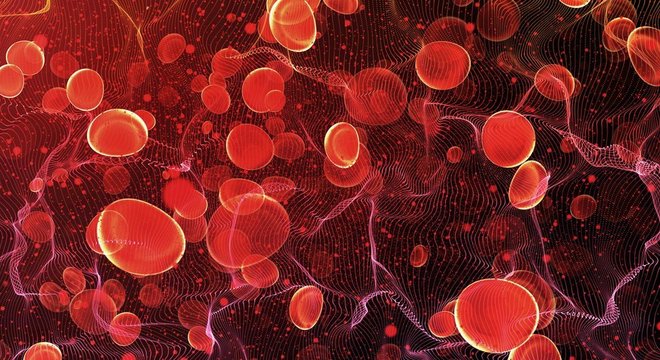Ilustração de células do sangue