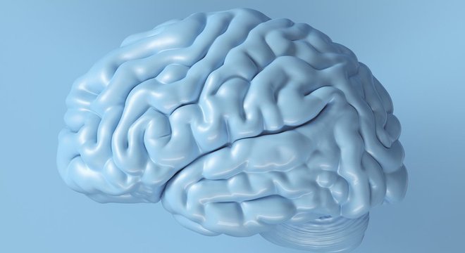 ilustração de cérebro