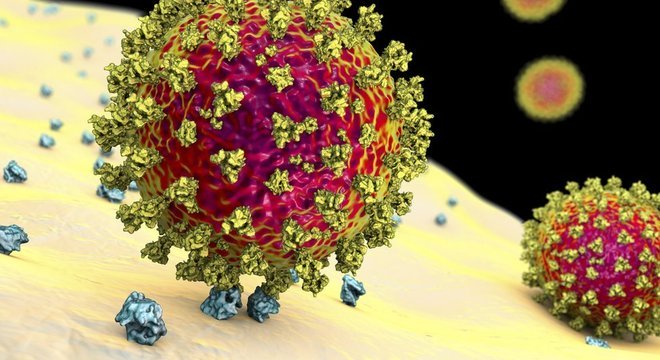 Ilustração de coronavírus atacando célula; para pesquisadora, pandemia colocou ciência e sociedade 'mais próximas do que nunca'   