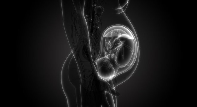 Pesquisa aponta que, durante a gravidez, a placenta envia 'mensagens' para o sistema imunológico 