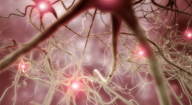 Um dos objetivos da empresa é combater algumas doenças neuronais