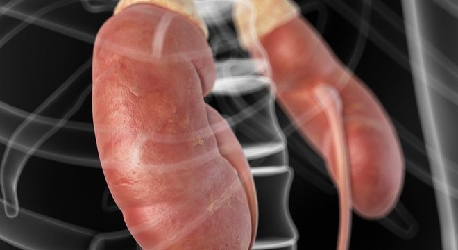  Rins sofrem juntos e 'silenciosamente', explica nefrologista

