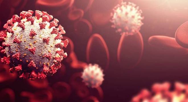  As pesquisas com os miniórgãos permitiram entender quais células o coronavírus invade. Hoje sabe-se que o patógeno pode afetar até os vasos sanguíneos