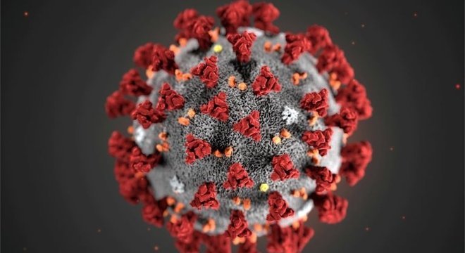 Novo coronavírus foi descoberto em dezembro na China