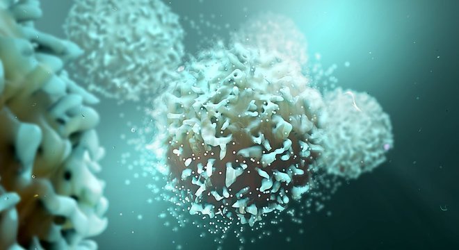 VÃ­rus age infectando preferencialmente linfÃ³citos