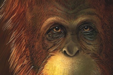 Ilustração reconstrói face do macaco: espécie chegava a 3 metros de altura e 600 kg