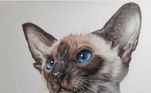 O artista comenta que os pedidos de ilustração de animais variam um pouco. 'Recebo muitos pedidos. Desde animais que já se foram, até pets que ainda estão presentes'