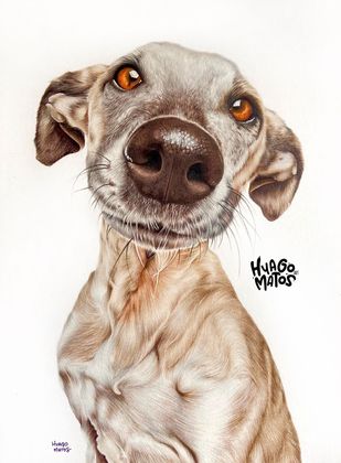 O desenhista afirma que suas ilustrações foram marcadas por fases, mas que 