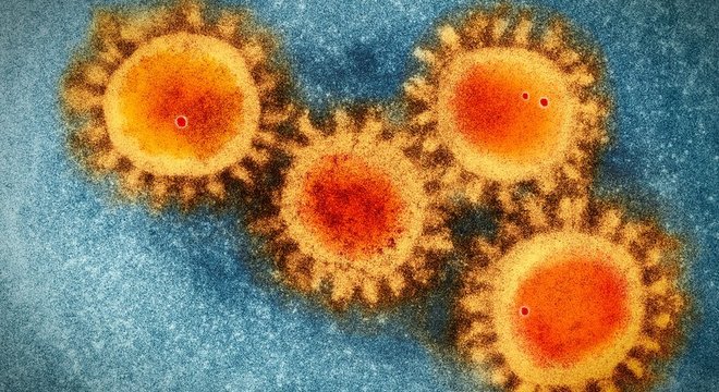 Receptores do coronavírus também estão presentes no trato gastrointestinal