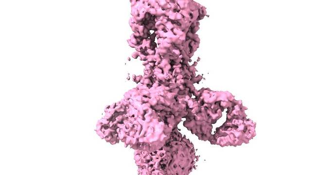 Nova visualização em 3D do vírus da gripe feita por cryo-EM. Compare com a imagem abaixo, feita a partir da cristalografia de raios-X