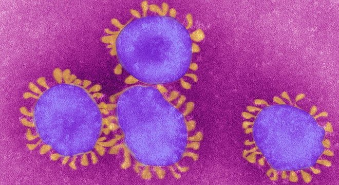 SARS-CoV-2 foi listado como um vírus com potencial endêmico pela OMS