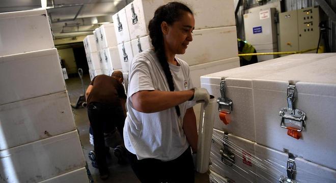 Uma vez de volta ao laboratório, os núcleos de gelo são empacotados em caixas protetoras e colocados em câmaras frigoríficas