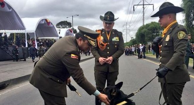 Sombra participou de mais de 300 operações com a polícia antidrogas da Colômbia