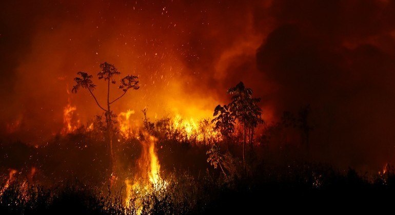 Amazônia e pantanal podem sofrer com incêndios mais intensos em 2021