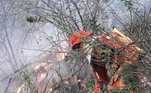 Um incêndio de grandes proporções atinge um trecho de vegetação na Chapada da Diamantina, desde sábado (19 de outubro de 2019), na Bahia.
O fogo abrange parte do território das cidades de Livramento de Nossa Senhora e Rio de Contas, além de uma região limítrofe entre os municípios de Lençóis, Palmeiras e Iraquara.