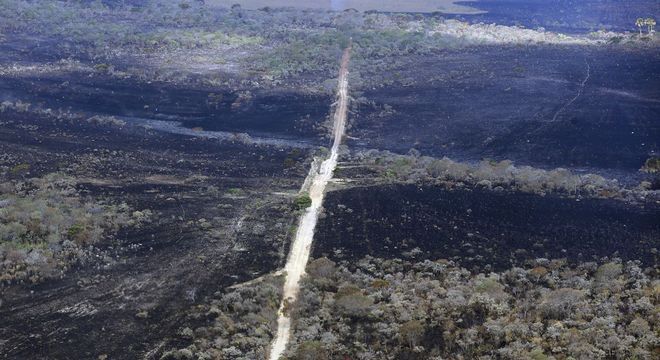 Incêndio de grandes proporções atinge a Chapada dos Veadeiros