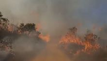 Incêndio no parque de SP dura mais de 20h e destrói 1.200 hectares