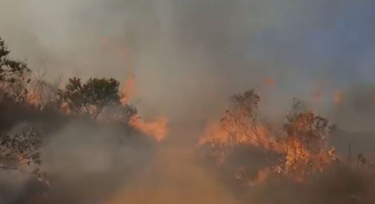 Incêndio em mata em Franco da Rocha, na Grande São Paulo