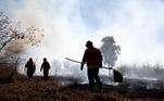 Incêndio ocorreu no Parque Burle Marx, na tarde desta segunda-feira (19); bombeiros combateram as chamas