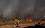 Incêndio ocorreu no Parque Burle Marx, na tarde desta segunda-feira (19); bombeiros combateram as chamas