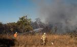 Incêndio ocorreu no Parque Burle Marx, na tarde desta segunda-feira (19); bombeiros combateram as chamas