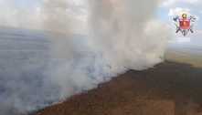 Vídeo: incêndio atinge parte do Parque Nacional de Brasília 