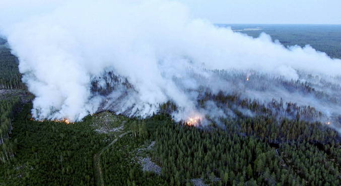 Finlândia sofre maior incêndio florestal em 50 anos - Notícias - R7  Internacional