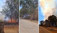 Vídeo: incêndio atinge parte da Floresta Nacional de Brasília