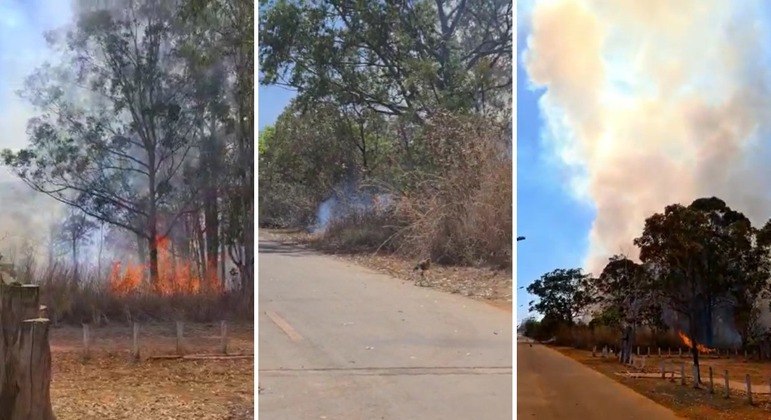 Incêndio atinge Floresta Nacional de Brasília
