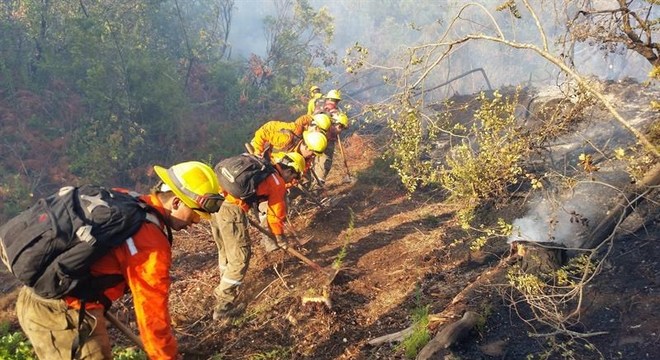 Bombeiros combatem fogos de incêndio na região de La Araucanía, no sul do Chile