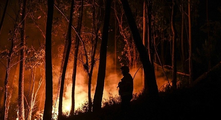Incêndio florestal em Portugal: 1.500 bombeiros lutam para conter as chamas