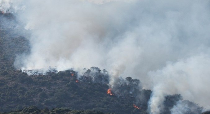 Fogo atinge floresta em Artesa de Segre, na Catalunha