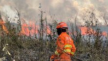 Governo de MS decreta situação de emergência em 5 cidades após incêndios no Pantanal 