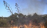incêndio Grécia